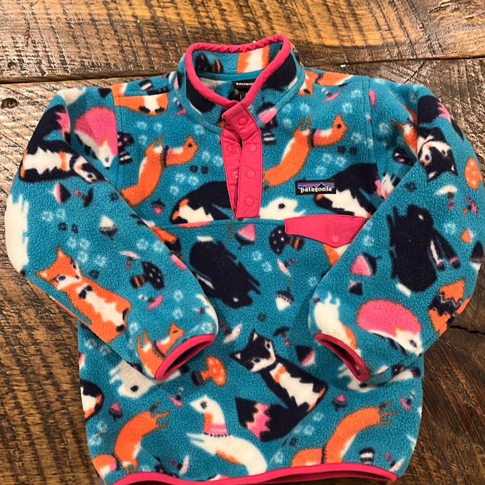 Patagonia Synchilla Pull-over